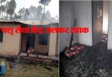 हल्द्वानी-अल्मोड़ा मोटर मार्ग पर आग की चपेट में आकर पशु सेवा केंद्र जलकर खाक