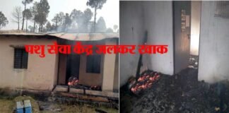 हल्द्वानी-अल्मोड़ा मोटर मार्ग पर आग की चपेट में आकर पशु सेवा केंद्र जलकर खाक