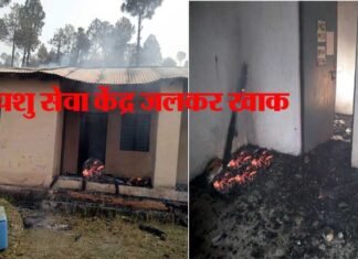 हल्द्वानी-अल्मोड़ा मोटर मार्ग पर आग की चपेट में आकर पशु सेवा केंद्र जलकर खाक