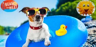 Beat The Heat