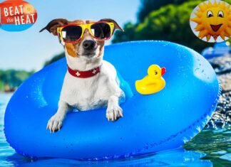 Beat The Heat