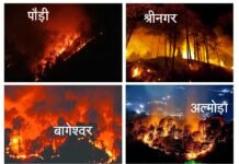 आग से धधक रहे हैं उत्तराखण्ड के जंगल