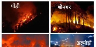 आग से धधक रहे हैं उत्तराखण्ड के जंगल