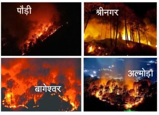 आग से धधक रहे हैं उत्तराखण्ड के जंगल