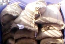 सरकारी राशन की कालाबाजारी का पर्दाफाश गेहूं की 150 बोरियां बरामद