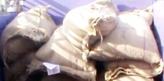 सरकारी राशन की कालाबाजारी का पर्दाफाश गेहूं की 150 बोरियां बरामद