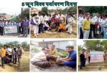 विश्व पर्यावरण दिवस पर पौधरोपण कर लोगों को किया जागरूक