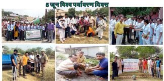 विश्व पर्यावरण दिवस पर पौधरोपण कर लोगों को किया जागरूक