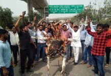 डंपिंग ग्राउंड के विरोध मे नोएडा अथॉरिटी के चेयरमैन का पुतला फूंका