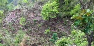 उत्तराखण्ड में एक और सड़क हादसा, सतपुली के पास जीएमओ की बस खाई में गिरी