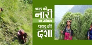 पहाड़ की नारी का जीवन एवं पहाड़ की दशा
