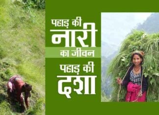 पहाड़ की नारी का जीवन एवं पहाड़ की दशा
