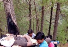 चम्पावत आ रही बोलेरो गहरी खाई में गिरी, चार लोगों की मौके पर मौत बोलेरो