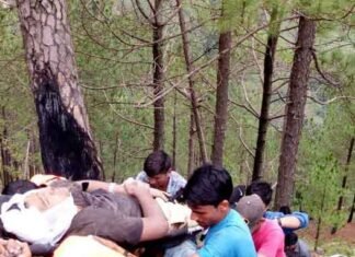 चम्पावत आ रही बोलेरो गहरी खाई में गिरी, चार लोगों की मौके पर मौत बोलेरो