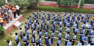 सामाजिक संगठन महिला उन्नति संस्था द्वारा पौधरोपण पौधरोपण