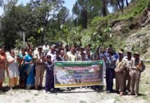 राजकीय इंटर कॉलेज सुमाड़ी, पौड़ी गढ़वाल मे वन महोत्सव कार्यक्रम कार्यक्रम