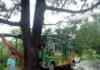 बस पेड़ से टकराई, ड्राइवर की सूझबूझ से टला बड़ा हादसा bus-accident