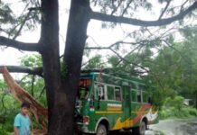 बस पेड़ से टकराई, ड्राइवर की सूझबूझ से टला बड़ा हादसा bus-accident