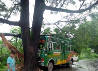 बस पेड़ से टकराई, ड्राइवर की सूझबूझ से टला बड़ा हादसा bus-accident