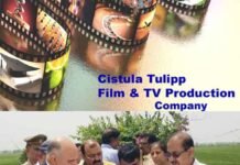 यमुना एक्सप्रेसवे क्षेत्र में विदेशी कंपनी करेगी 15 हजार करोड़ का निवेश cistula-tulipp