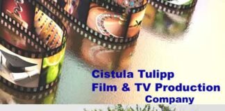 यमुना एक्सप्रेसवे क्षेत्र में विदेशी कंपनी करेगी 15 हजार करोड़ का निवेश cistula-tulipp