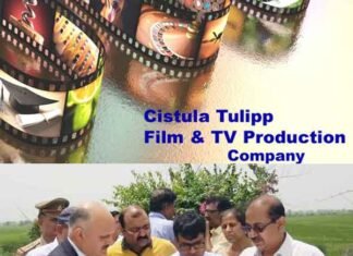 यमुना एक्सप्रेसवे क्षेत्र में विदेशी कंपनी करेगी 15 हजार करोड़ का निवेश cistula-tulipp