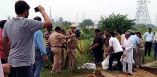 ग्रेनो प्राधिकरण ने धान की खड़ी फसल पर जेसीबी चलाकर मुक्त करायी 65 एकड़ जमीन greno-jcb