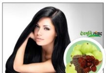 कैसे करे घरेलू नुस्खों से बालों की देखभाल hair-care