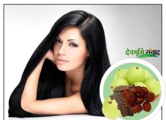 कैसे करे घरेलू नुस्खों से बालों की देखभाल hair-care