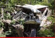 उत्तराखंड में दर्दनाक सड़क हादसा, सवारियों से भरी मैक्स खाई में गिरी दर्दनाक