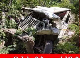 उत्तराखंड में दर्दनाक सड़क हादसा, सवारियों से भरी मैक्स खाई में गिरी दर्दनाक