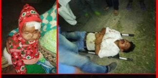 खाई में गिरी बुलेरो, एक महिला की मौत, पांच घायल bulero-accident
