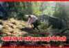 पौड़ी गढ़वाल में यात्रियों से भरी बस खाई में गिरी, कई लोग घायल bus-accident-in-rikhanikhal पौड़ी गढ़वाल
