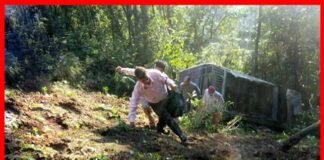 पौड़ी गढ़वाल में यात्रियों से भरी बस खाई में गिरी, कई लोग घायल bus-accident-in-rikhanikhal पौड़ी गढ़वाल