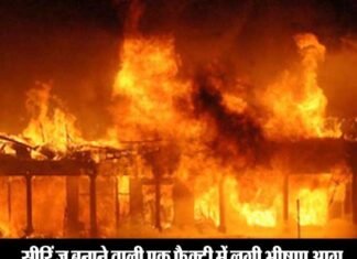 ग्रेटर नोएडा के कासना क्षेत्र में कंपनी में लगी भीषण आग factory-caught-fire