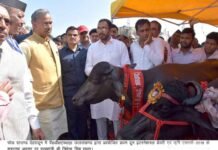 मुख्यमंत्री ने किया अंतरराष्ट्रीय पशु एवं कृषि मेले का शुभारंभ pashu-evm-krishi-mela-2018