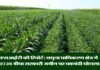 एसआईटी की रिपोर्ट: सरकारी जमीन की बंदरबांट से यमुना अथॉरिटी को 3 हजार करोड़ का नुकसान yamuna-area-sit-report