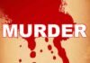 महिला के सिर पर सिलबट्टे से हमलाकर हत्या, हत्यारोपी ने खुद भी जहर खाया murder