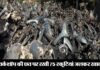 दिवाली की रात आग लगने से वर्कशॉप की छत पर रखी 75 स्कूटियां जलकर राख fire-at-workshop