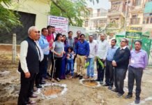 आरडब्ल्यूए की नई मुहिम, कूड़े के ढेरों को हटाकर लगाए पौधे rwa-beta-1