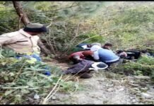 सतपुली-संग्लाकोटी मार्ग पर सवारियों से भरी मैक्स गहरी खाई में गिरी Max-fell-into-a-deep-ditch