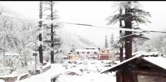 उत्तराखंड के इन जिलों में भारी बारिश और बर्फबारी की चेतावनी mussoorie-snowfall