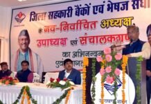 उत्तराखण्ड में अब पिरूल से दूर होगी बेरोजगारी, 143 प्रकार के आइटम तैयार किये जा सकते है पिरूल से pirul-industry