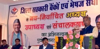 उत्तराखण्ड में अब पिरूल से दूर होगी बेरोजगारी, 143 प्रकार के आइटम तैयार किये जा सकते है पिरूल से pirul-industry