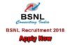 बीएसएनएल में निकली 300 भर्तियाँ, वेतन 50 हजार तक: जल्द करें आवेदन BSNL job recruitment