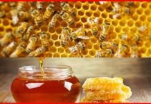 उत्तराखण्डी उत्पादों के सेलिंग पाइंट हेतु NDMC से चर्चा, घरों में बनने वाले शहद को फोरेस्ट हनी का सर्टिफिकेशन Forest Honey