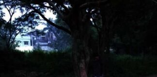 श्मशान के पास पेड़ से लटका मिला युवक का शव, जांच में जुटी पुलिस body-hanging-from-tree