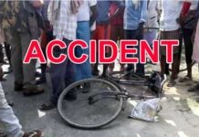 कार ने साइकिल में टक्कर मारी, पति-पत्नी की मौत, आरोपी चालक गिरफ्तार cycle-accident