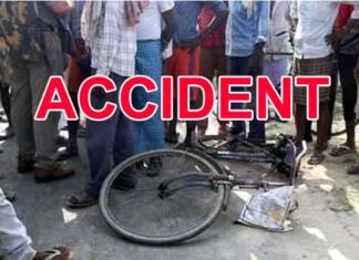 कार ने साइकिल में टक्कर मारी, पति-पत्नी की मौत, आरोपी चालक गिरफ्तार cycle-accident