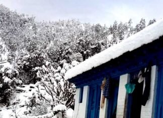 उत्तराखंड में भारी बर्फ़बारी का अलर्ट: कई जिलों में कल बंद रहेंगे सभी स्कूल pauri--snowfall